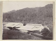 Gebouwen behorende bij plantage Silo Sanen gezien vanaf een hoger gelegen gedeelte