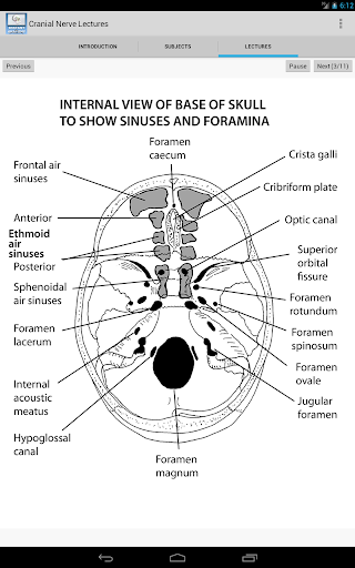 【免費醫療App】Anatomy Cranial Nerve Lectures-APP點子