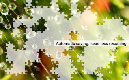 Raindrop Jigsaw Puzzles Demo poster 12