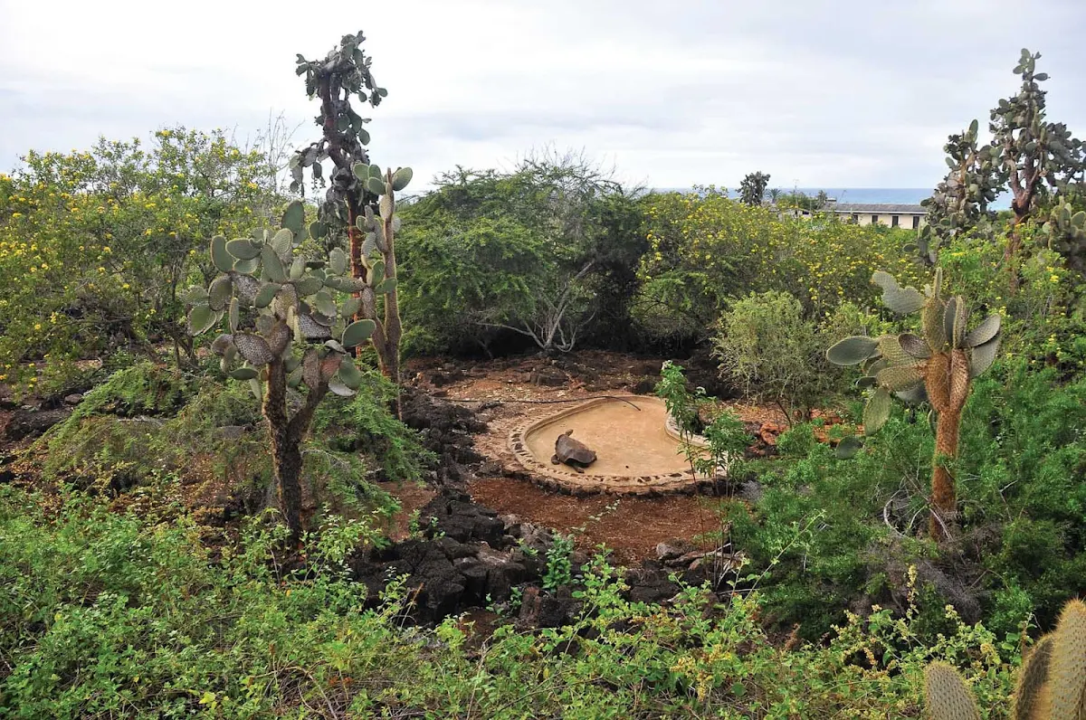 Charles_Darwin_Research_Station - Silversea guests have the option of learning about conservation efforts at the Charles Darwin Research Station.