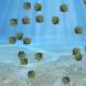 Infection Game