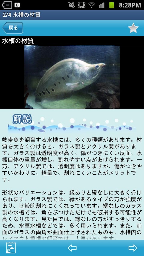 熱帯魚＆水草図鑑322選のおすすめ画像4