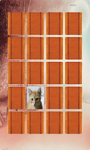 How to download Cat Matching 1.0 apk for pc