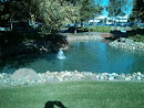 Koi Pond Fountain