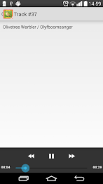 Calls of the LBJs poster 2