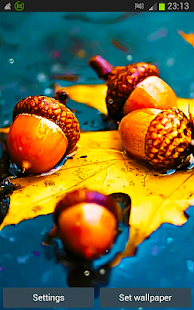 Lastest Autumn Rain Live Wallpapers APK for Android