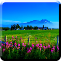 scenery live wallpapers Apk