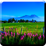 scenery live wallpapers Apk