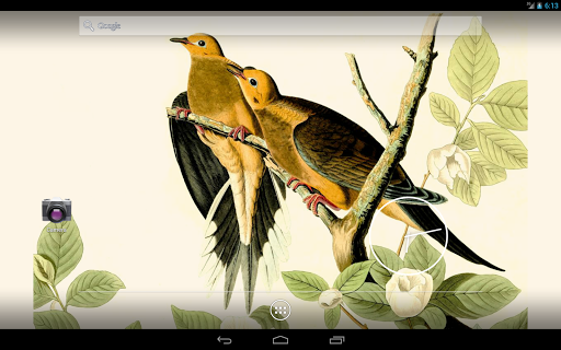 免費下載攝影APP|Audubon's Birds of America V02 app開箱文|APP開箱王