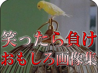 [最も選択された] 笑っ た�� 負け 画像 集 101705