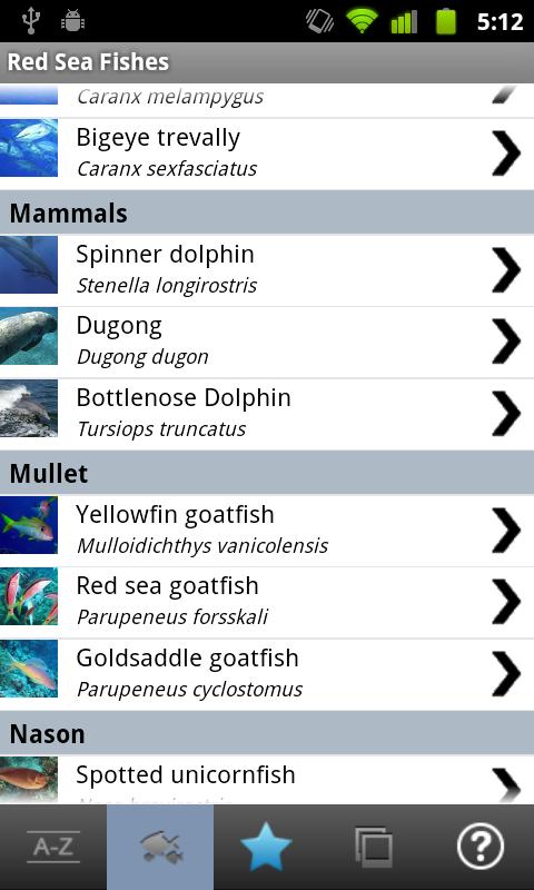 Red Sea Fishes Screen 2