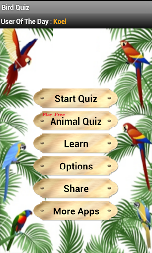 Birds Quiz