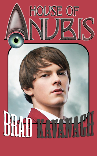 HoA Brad Fans Puzzle