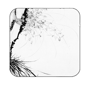 the orchid inkwash wallpaper 21.0