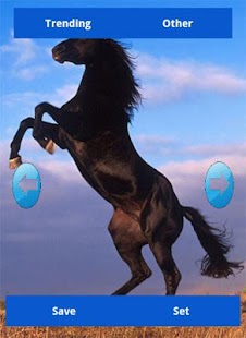 Horse Wallpapers Screenshots 4