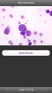 BYU Hematology Screenshots 8