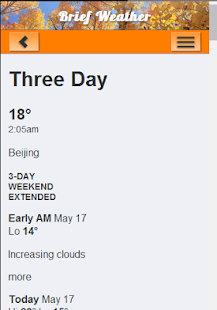Brief Weather Screenshots 2