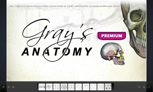 Grays Anatomy Premium Edition