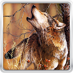 Cover Image of Unduh Wolf Live Wallpaper 15.0 APK