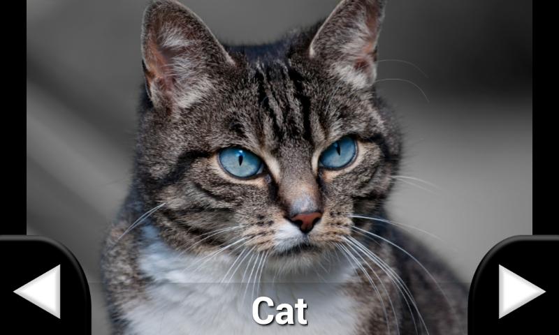    Toddler Animal Sounds- screenshot  