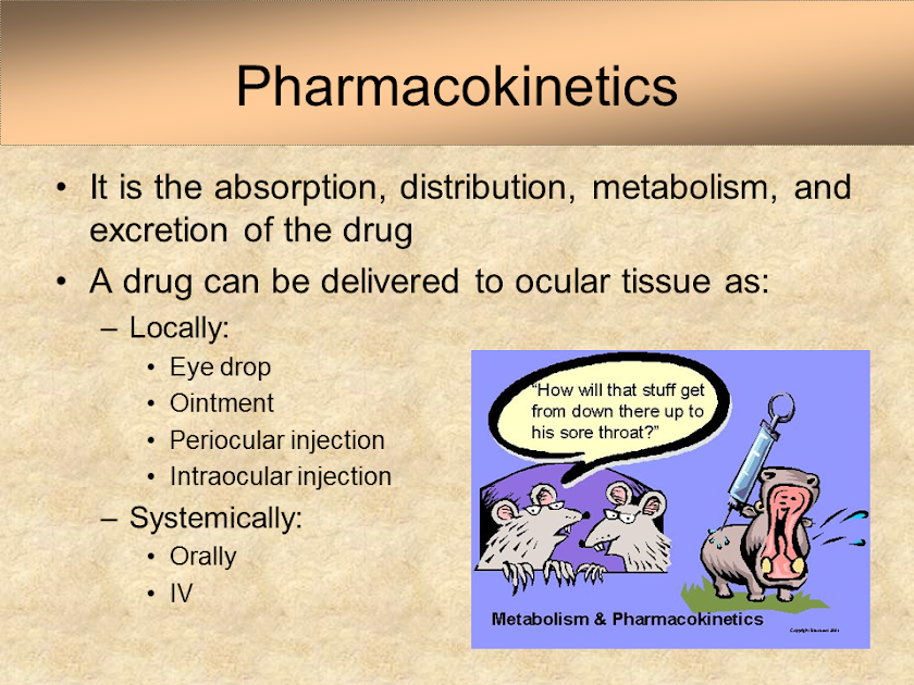 ocular pharmacology Screen 3