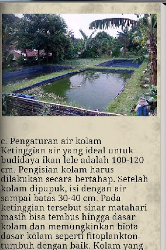 Budidaya Ternak Ikan