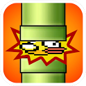 Squishy Bird icon