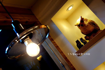 貓頭鷹咖啡館