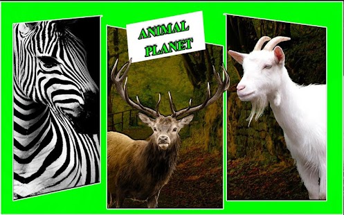 How to install Safari Hunting Challenge 3D 1.3 apk for bluestacks