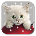 Xmas Cat Live Wallpaper mobile app icon
