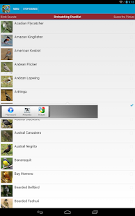 South American Birds Sounds Screenshots 2