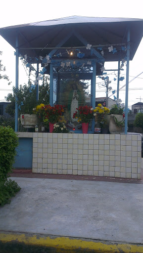 Virgen De Guadalupe Viga