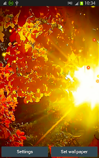 Autumn Full HD Wallpapers Screenshots 0