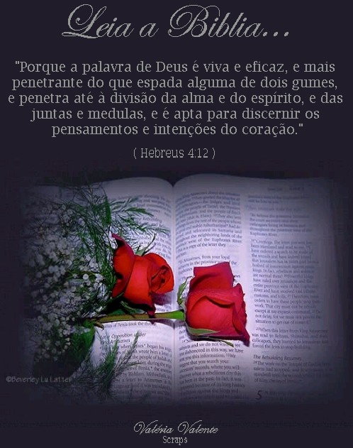 biblia10.jpg