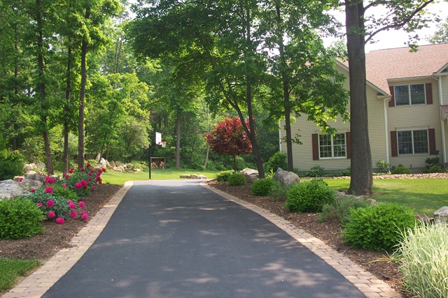 [Spring Pic1[4].jpg]