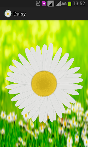 Daisy - the love o meter game