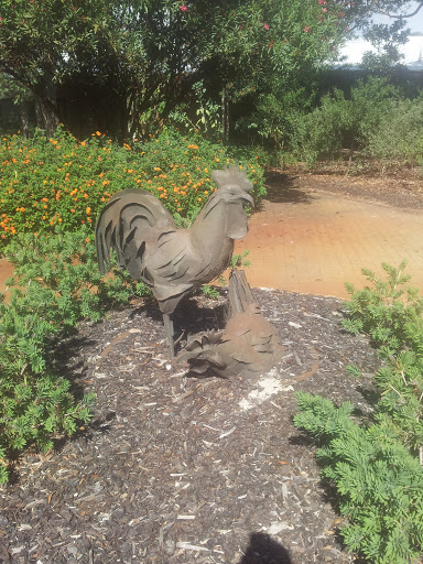 Rooster Statue in the Veterinary Hospital