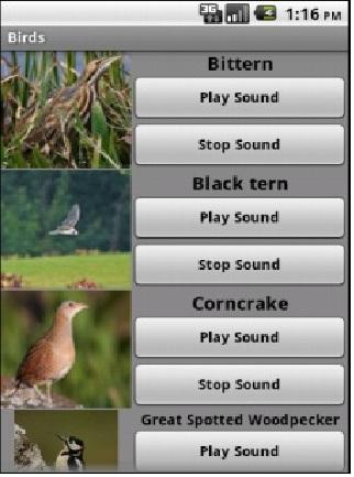 Bird Sounds