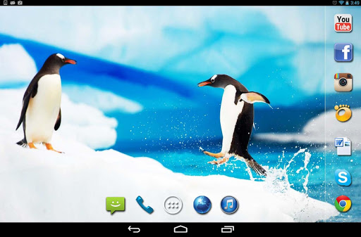 【免費個人化App】Penguins Cute live wallpaper-APP點子