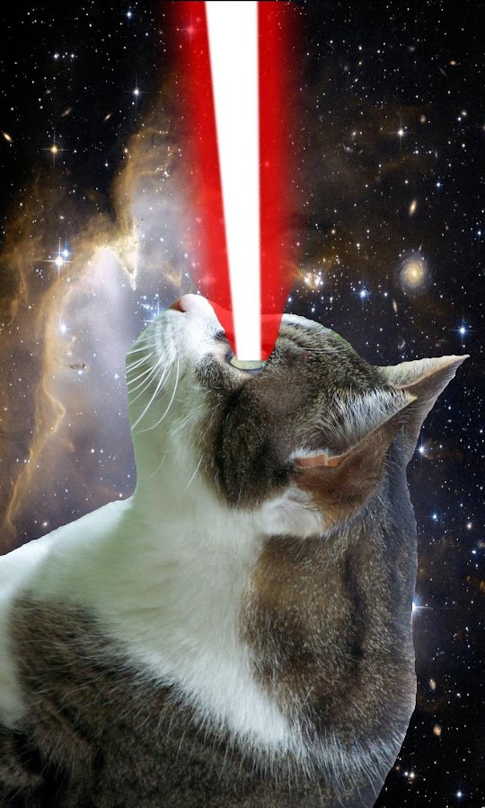Cat Laser Android Apps on Google Play