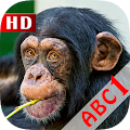 ABC Animals Flash Card HD Apk