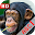 ABC Animals Flash Card HD Download on Windows