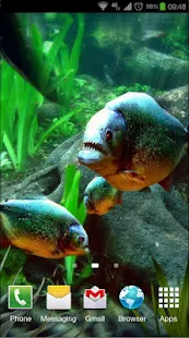 Piranha Aquarium 3D lwp - screenshot thumbnail