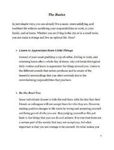 Optimal Optimization Screenshots 4