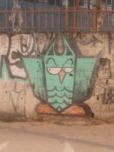 Graffiti Coruja Verde 