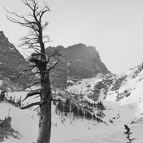 Someplace to go when you're lonely or your heart is breaking.... by Johnny Gomez - Black & White Landscapes