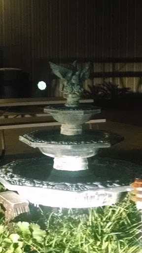 Starling Fountain