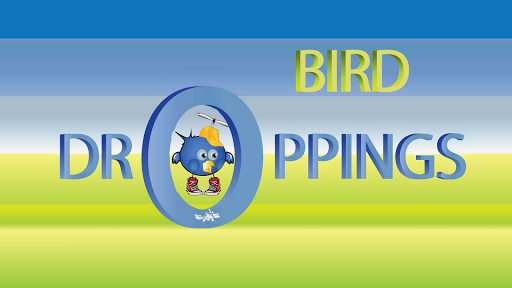 Bird Droppings