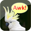 Birdy Brain mobile app icon