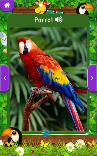 免費下載教育APP|Animal Sounds for Kids app開箱文|APP開箱王